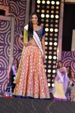 at Indian Princess in Mumbai on 8th March 2013 (118).JPG